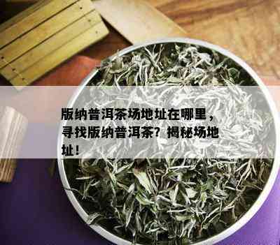 版纳普洱茶场地址在哪里，寻找版纳普洱茶？揭秘场地址！