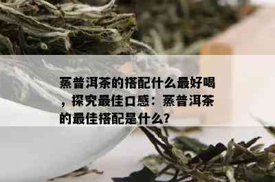 蒸普洱茶的搭配什么更好喝，探究更佳口感：蒸普洱茶的更佳搭配是什么？