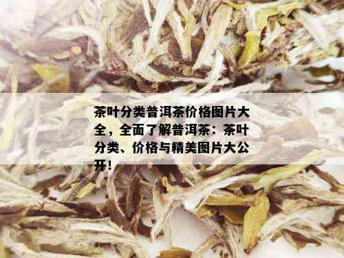 茶叶分类普洱茶价格图片大全，全面了解普洱茶：茶叶分类、价格与精美图片大公开！