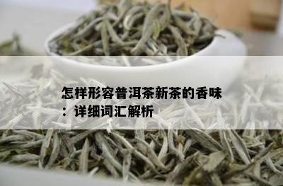 怎样形容普洱茶新茶的香味：详细词汇解析