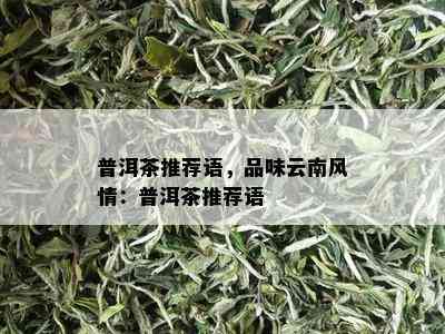 普洱茶推荐语，品味云南风情：普洱茶推荐语