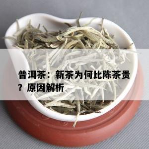 普洱茶：新茶为何比陈茶贵？原因解析