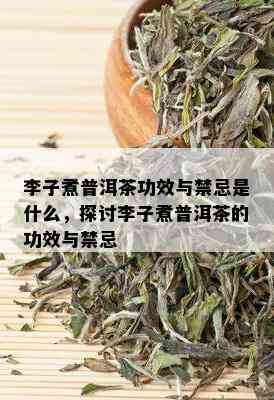 李子煮普洱茶功效与禁忌是什么，探讨李子煮普洱茶的功效与禁忌