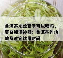 普洱茶功效夏季可以喝吗，夏日解渴神器：普洱茶的功效及适宜饮用时间