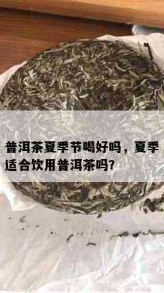 普洱茶夏季节喝好吗，夏季适合饮用普洱茶吗？