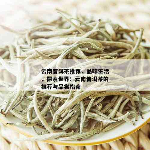 云南普洱茶推荐，品味生活，探索世界：云南普洱茶的推荐与品尝指南