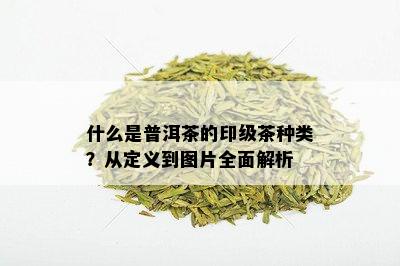 什么是普洱茶的印级茶种类？从定义到图片全面解析