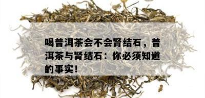 喝普洱茶会不会肾结石，普洱茶与肾结石：你必须知道的事实！