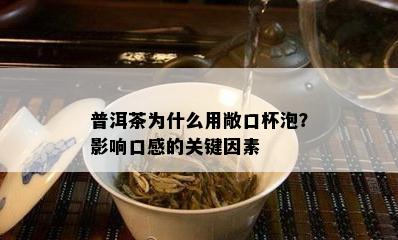 普洱茶为什么用敞口杯泡？影响口感的关键因素