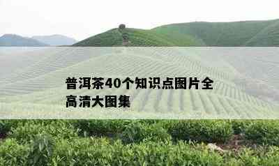 普洱茶40个知识点图片全高清大图集