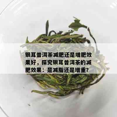 银耳普洱茶减肥还是增肥效果好，探究银耳普洱茶的减肥效果：是减脂还是增重？