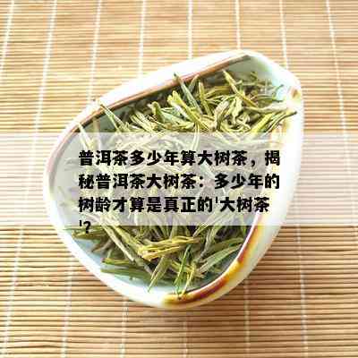 普洱茶多少年算大树茶，揭秘普洱茶大树茶：多少年的树龄才算是真正的'大树茶'？