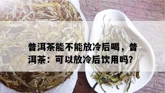 普洱茶能不能放冷后喝，普洱茶：可以放冷后饮用吗？