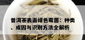 普洱茶表面绿色霉菌：种类、成因与识别方法全解析