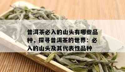 普洱茶必入的山头有哪些品种，探寻普洱茶的世界：必入的山头及其代表性品种