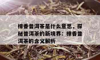 樟香普洱茶是什么意思，探秘普洱茶的新境界：樟香普洱茶的含义解析