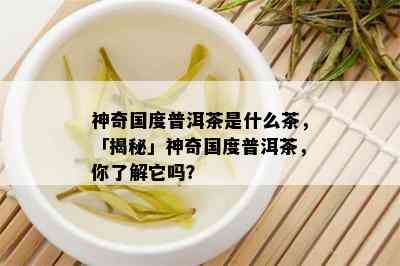 神奇国度普洱茶是什么茶，「揭秘」神奇国度普洱茶，你了解它吗？