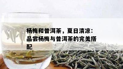 杨梅和普洱茶，夏日清凉：品尝杨梅与普洱茶的完美搭配