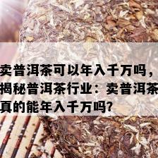 卖普洱茶可以年入千万吗，揭秘普洱茶行业：卖普洱茶真的能年入千万吗？