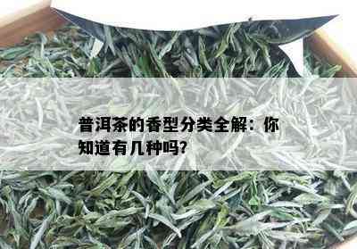 普洱茶的香型分类全解：你知道有几种吗？