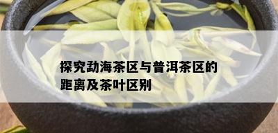 探究勐海茶区与普洱茶区的距离及茶叶区别