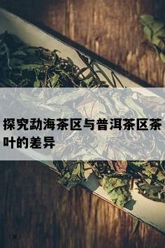 探究勐海茶区与普洱茶区茶叶的差异