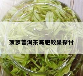 菠萝普洱茶减肥效果探讨