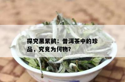 探究黑紫鹃：普洱茶中的珍品，究竟为何物？