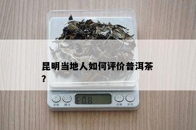 昆明当地人如何评价普洱茶？