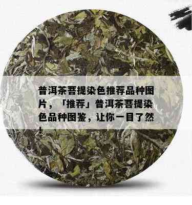 普洱茶菩提染色推荐品种图片，「推荐」普洱茶菩提染色品种图鉴，让你一目了然！