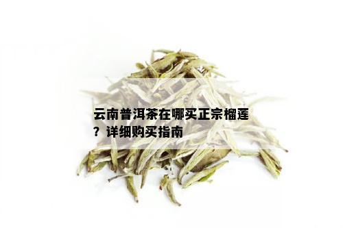 云南普洱茶在哪买正宗榴莲？详细购买指南