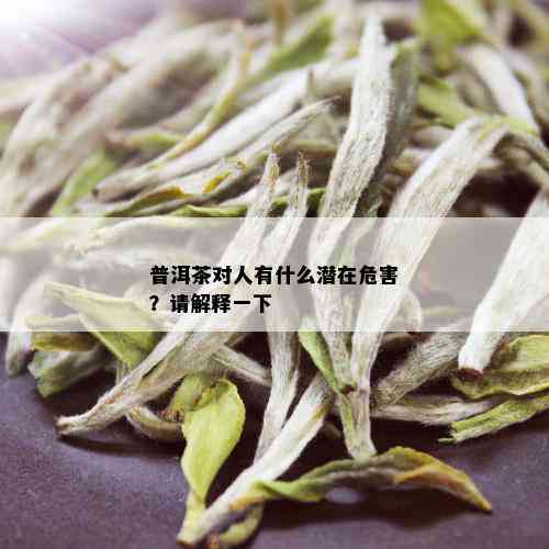 普洱茶对人有什么潜在危害？请解释一下