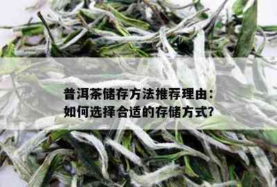 普洱茶储存方法推荐理由：如何选择合适的存储方式？