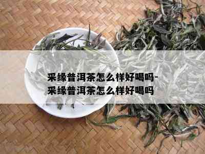 采缘普洱茶怎么样好喝吗-采缘普洱茶怎么样好喝吗