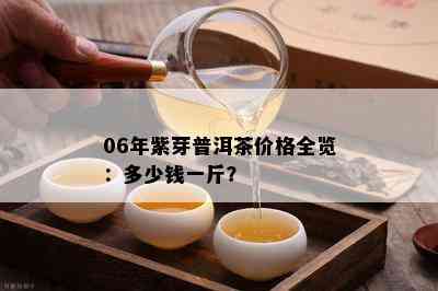 06年紫芽普洱茶价格全览：多少钱一斤？