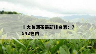 十大普洱茶最新排名表：7542在内