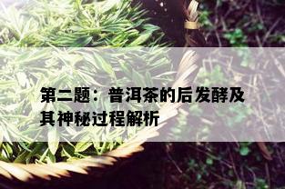 第二题：普洱茶的后发酵及其神秘过程解析