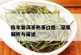 陈年普洱茶熟茶口感：深度解析与描述