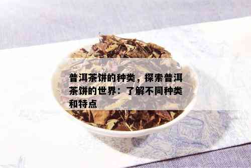 普洱茶饼的种类，探索普洱茶饼的世界：了解不同种类和特点