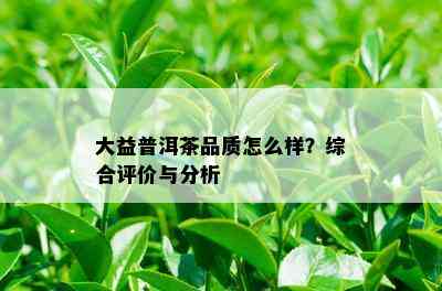 大益普洱茶品质怎么样？综合评价与分析