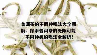 普洱茶的不同种喝法大全图解，探索普洱茶的无限可能：不同种类的喝法全解析！