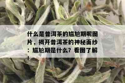 什么是普洱茶的尴尬期呢图片，揭开普洱茶的神秘面纱：尴尬期是什么？看图了解！