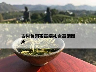 古树普洱茶高端礼盒高清图片