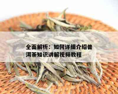 全面解析：如何详细介绍普洱茶知识讲解视频教程