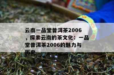 云南一品堂普洱茶2006，探索云南的茶文化：一品堂普洱茶2006的魅力与历史