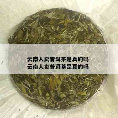 云南人卖普洱茶是真的吗-云南人卖普洱茶是真的吗