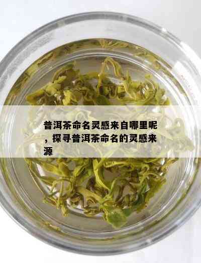 普洱茶命名灵感来自哪里呢，探寻普洱茶命名的灵感来源