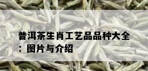 普洱茶生肖工艺品品种大全：图片与介绍