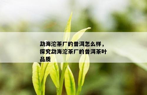 勐海沱茶厂的普洱怎么样，探究勐海沱茶厂的普洱茶叶品质