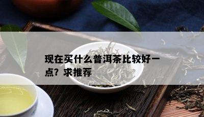 现在买什么普洱茶比较好一点？求推荐